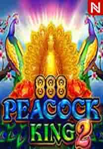Peacock King 2